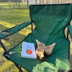 Chaise Plage Pliable Portable et Compacte